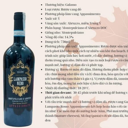 Rượu Vang Ý Galasso Lampasso Nero Montepulciano D'Abruzzo 14%
