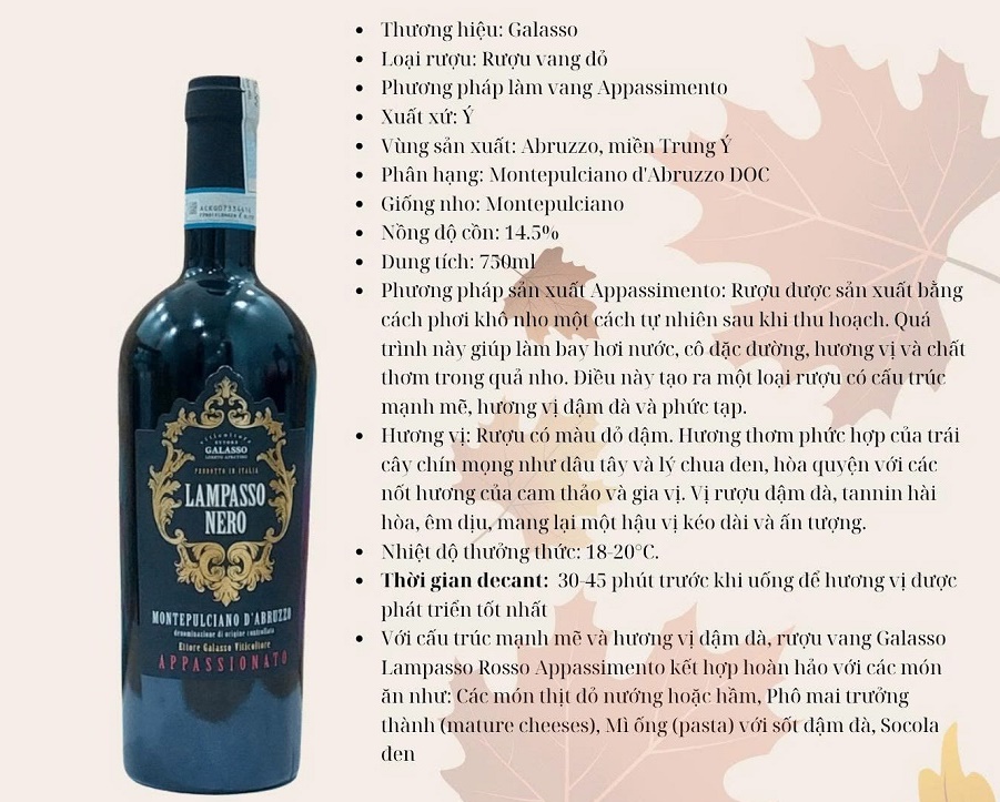 Rượu Vang Ý Galasso Lampasso Nero Montepulciano D'Abruzzo 14%
